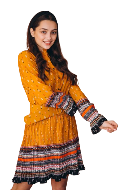 Printed Casual Women's Dress